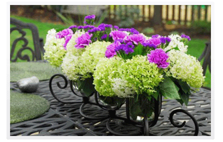 Hydrangea Floral Design